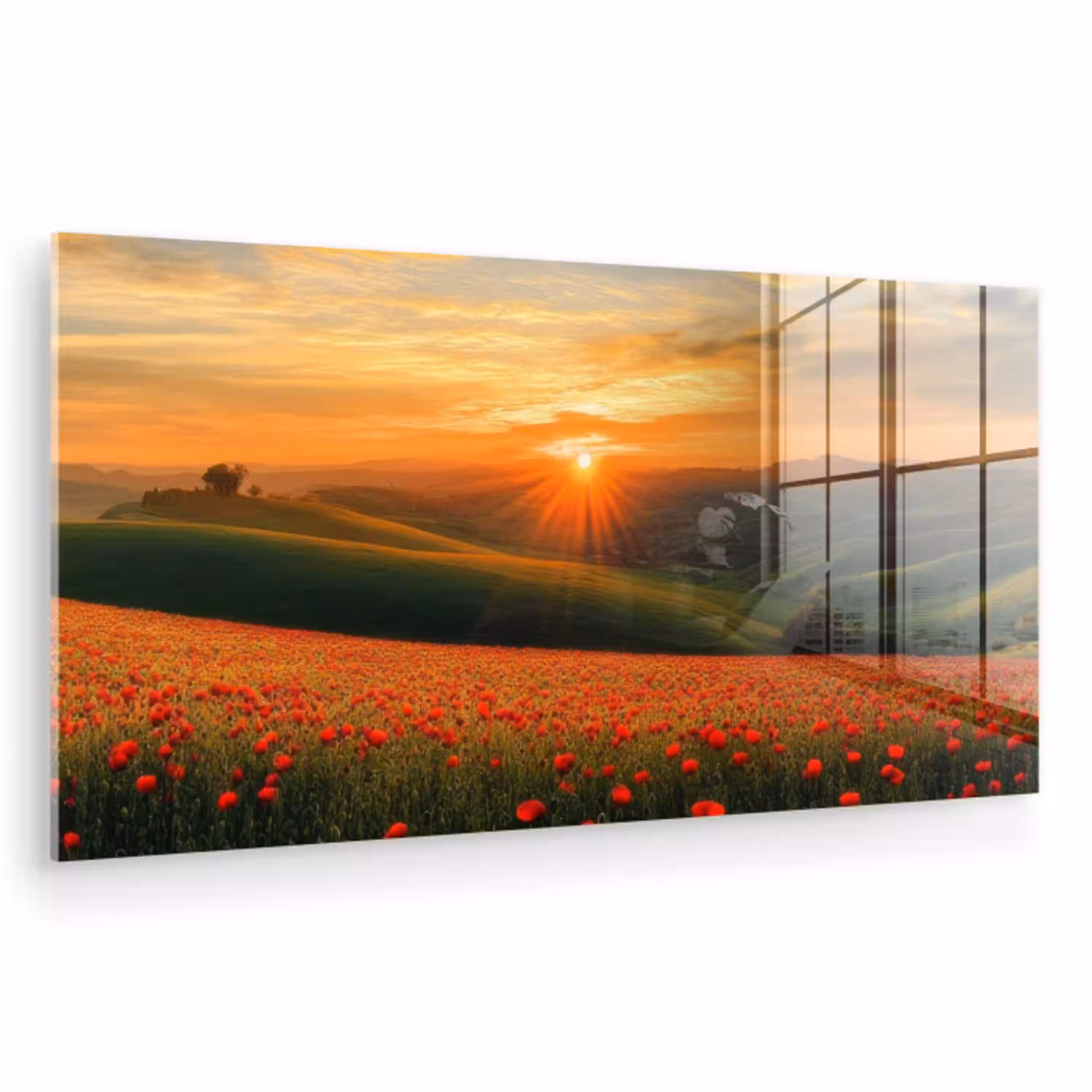 Klaprozen - Bloemen - Heuvels - Zonsondergang plexiglas 5mm klein -zzzproduct_nieuw