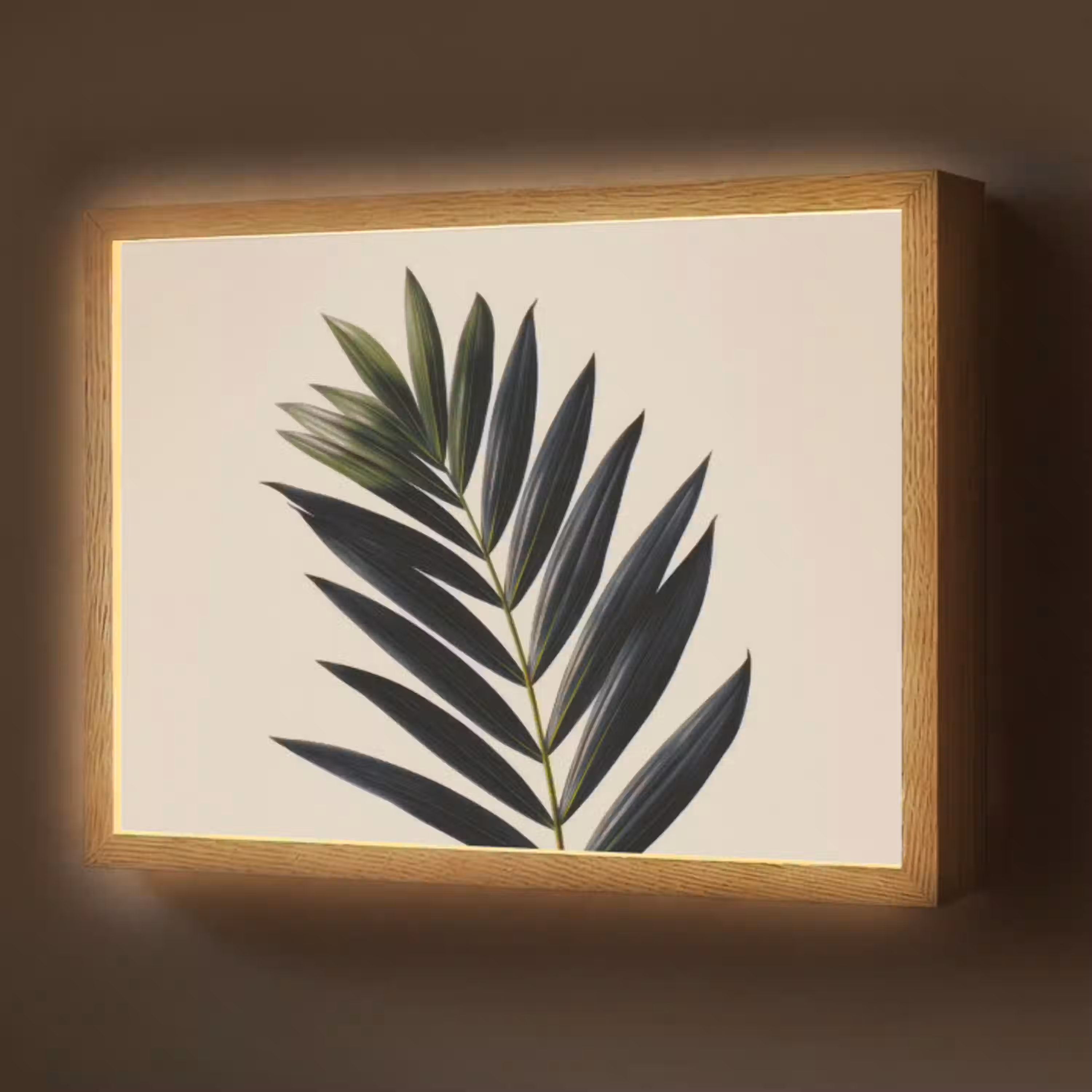 Palmblad - Donkere bladen - Subtiel Light Box met batterij (Wandlamp) middel -z3d_website