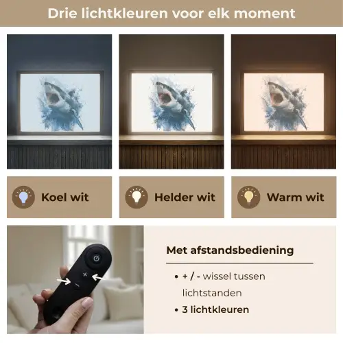 Haai - Blauw - Water Light Box met batterij (Wandlamp kind) middel -USP_lichtkleurNL