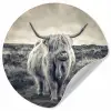 Schotse hooglander - Dieren - Wolken - Koe - Natuur Wandcirkel behangsticker klein -3d
