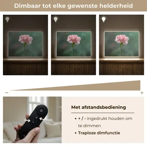 Anjer - Roze - Bloemblaadjes Light Box met batterij (Wandlamp) middel -USP_dimbaarNL