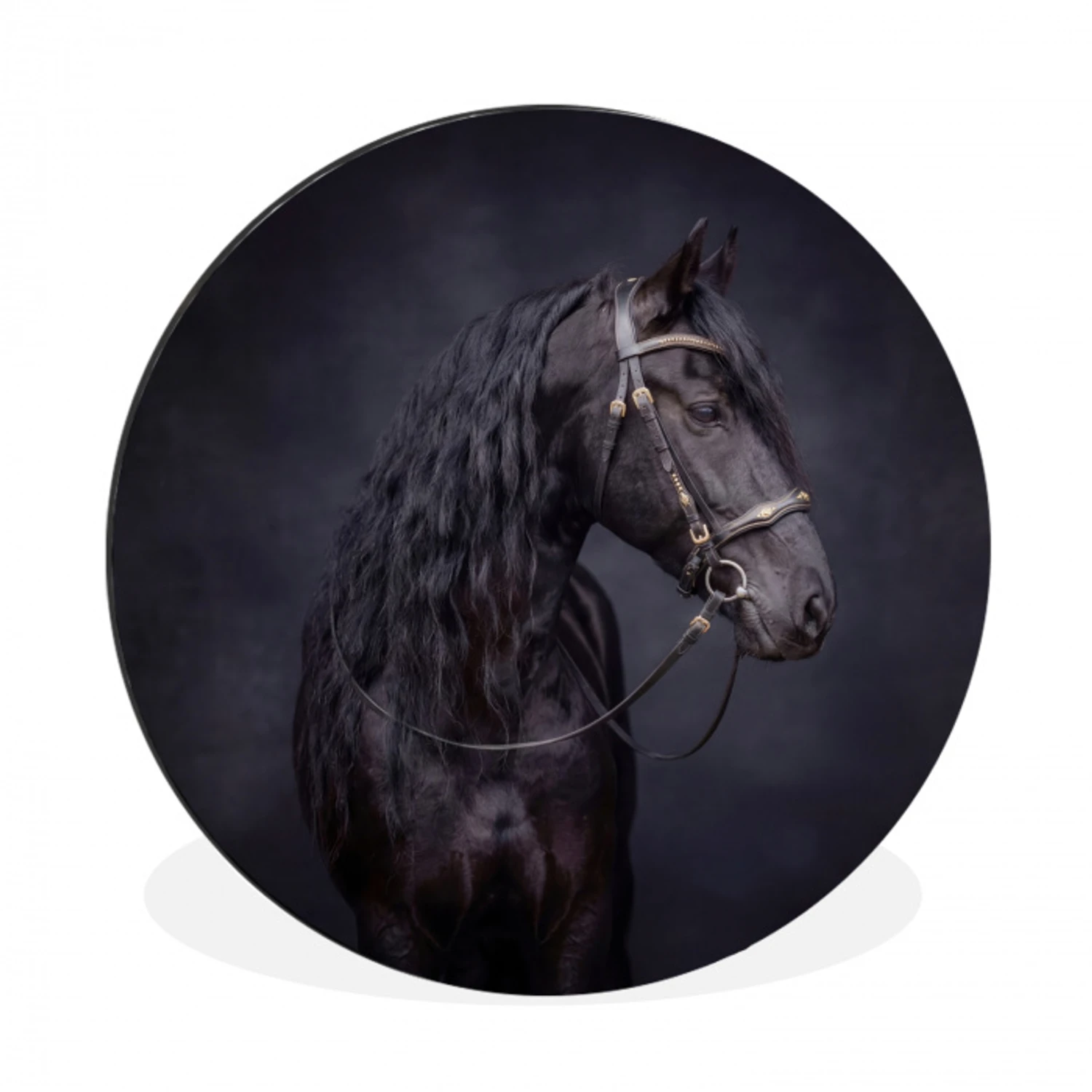 Portret - Paard - Donker Wandcirkel aluminium klein -3d