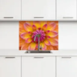 Dahlia - Bloem - Oranje keuken achterwand 2 middel -3d