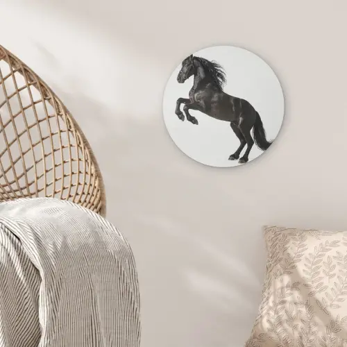 Zwart - Paard - Portret Akoestische PET Vilt - Rond klein -sfeer4