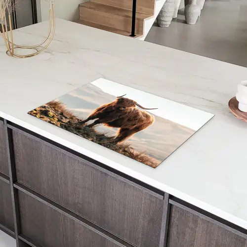 Hooglandse Sereniteit Inductie beschermer vinyl 3mm klein -sfeer8