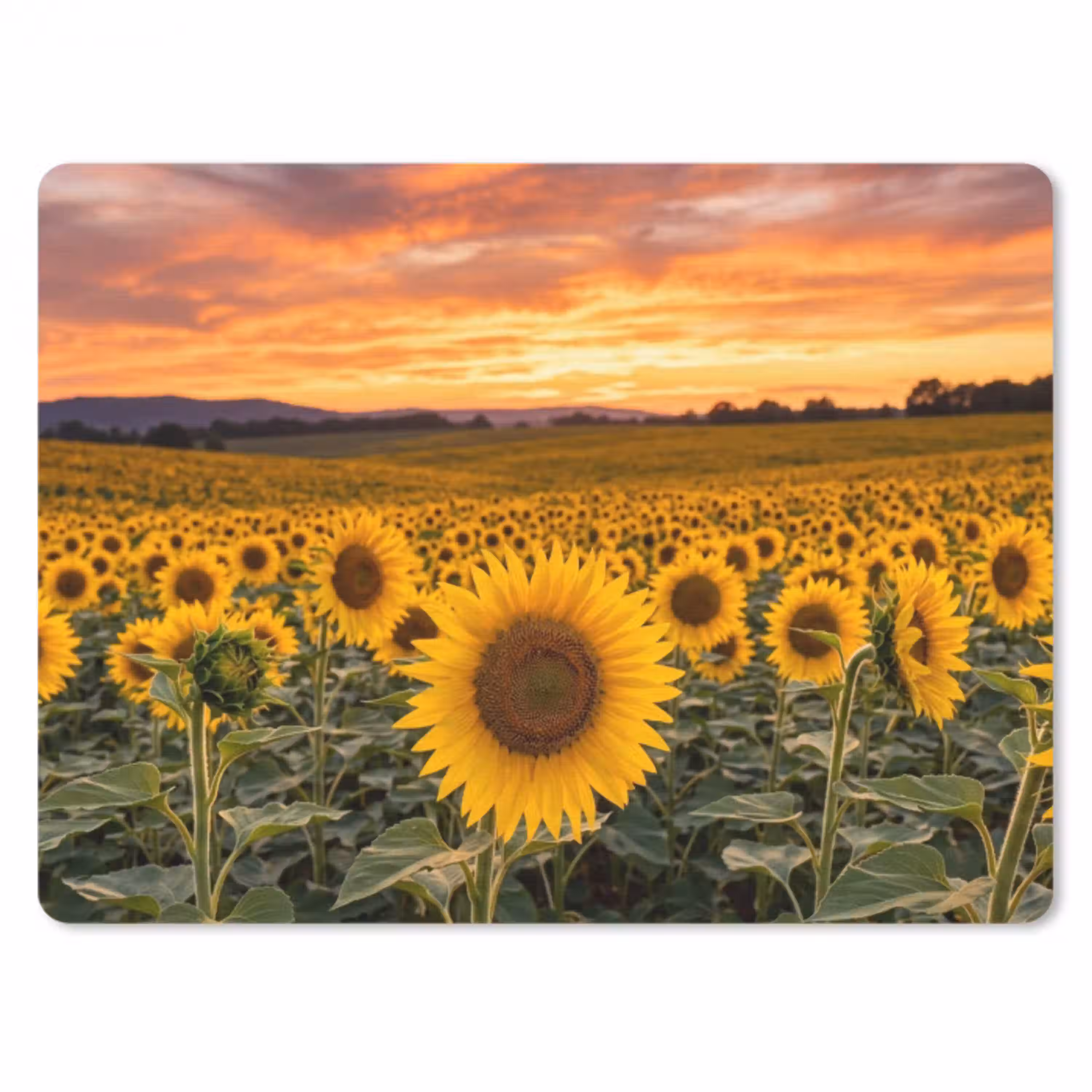 Zonnebloemen - Heuvellandschap - Geel muismat rubber klein -3d