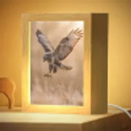 Buizerd - Roofvogel - Natuur - Bruin Light Box met kabel (Kinderlampje) klein -zzzz_3d_website