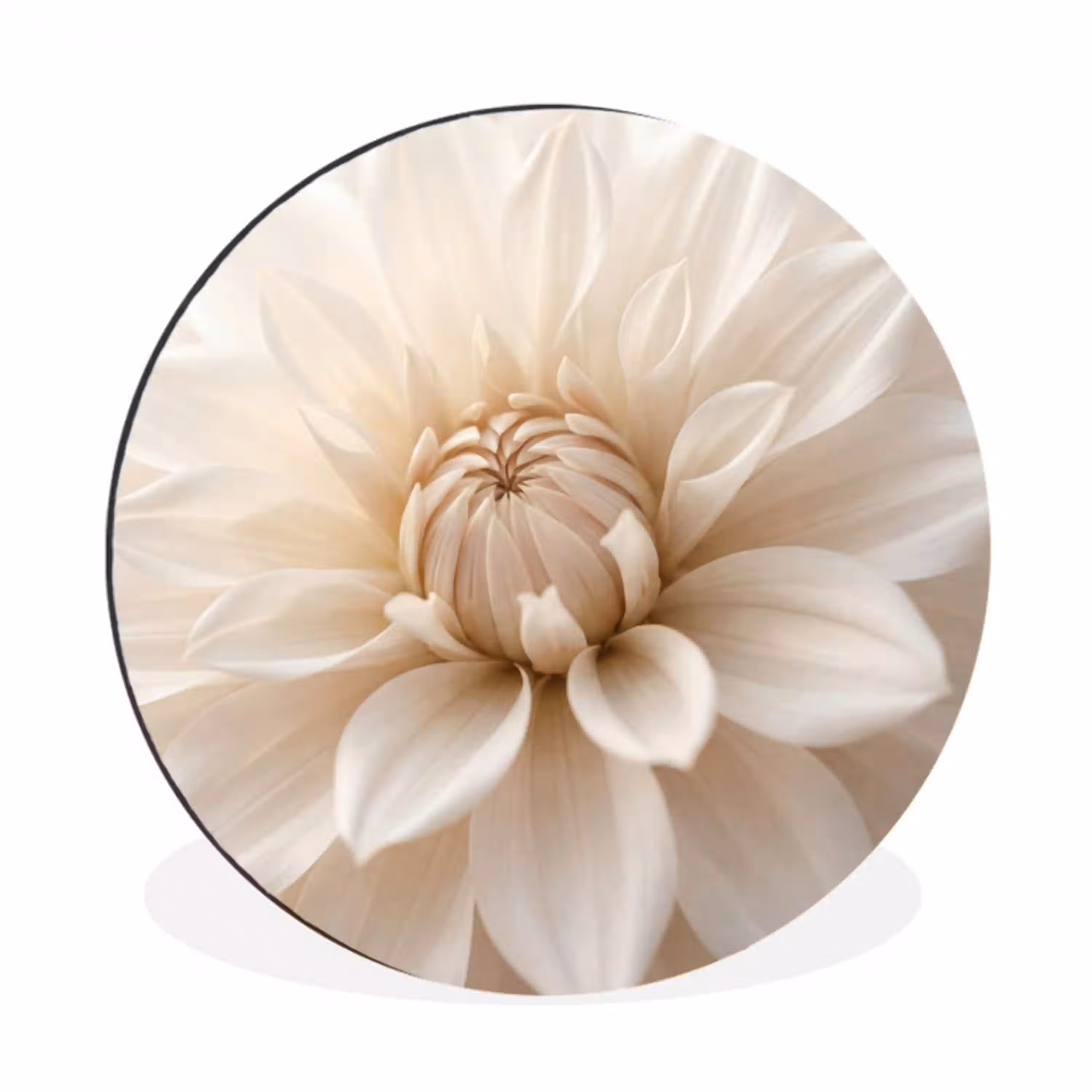 Bloem - Dahlia - Wit Wandcirkel aluminium klein -3d