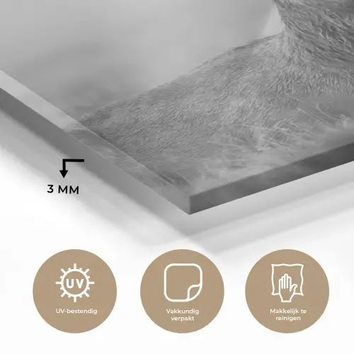 Hert - Mistig - Zwart - Wit plexiglas 5mm klein -sfeer2