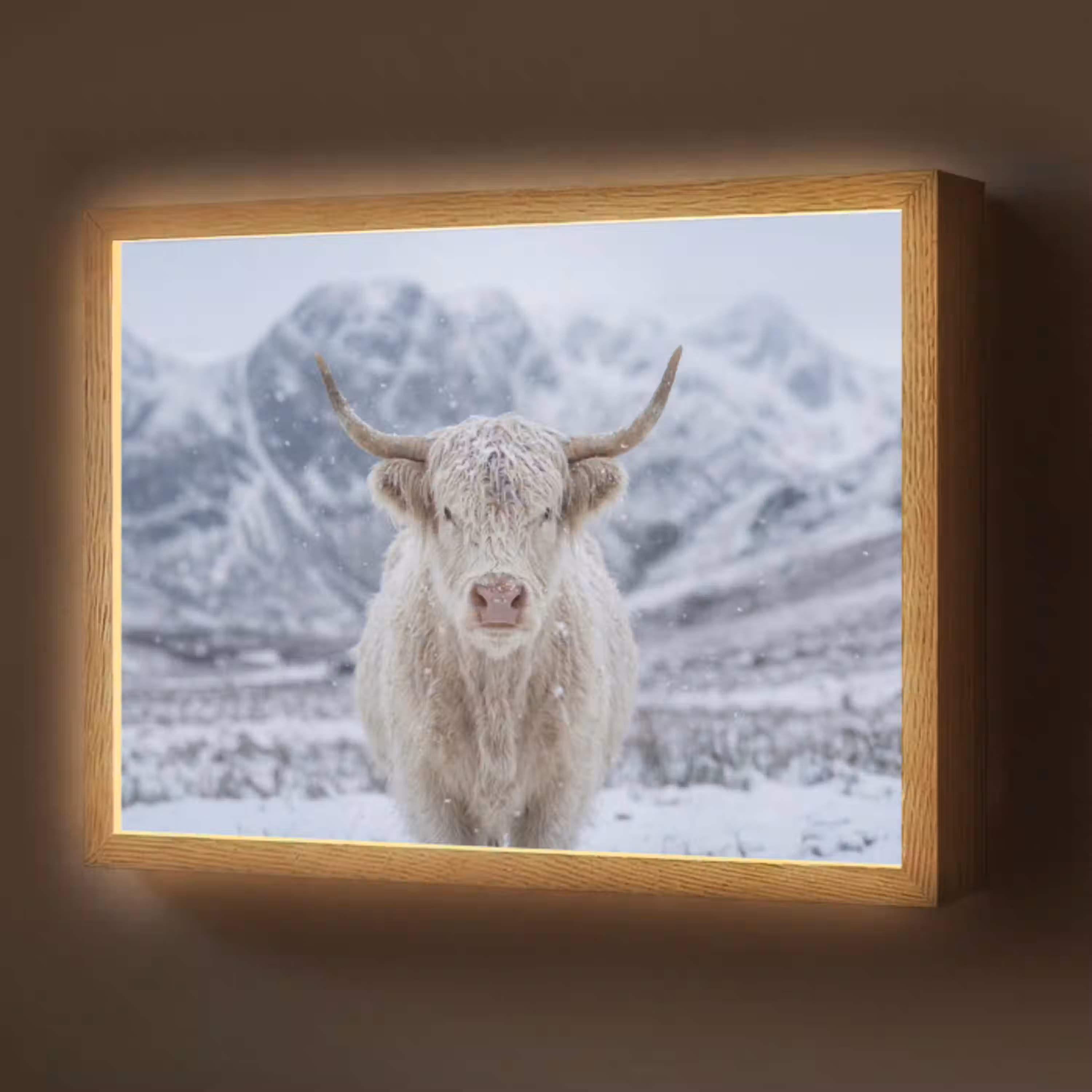 Schotse Hooglander - Sneeuw - Bergen - Winter Light Box met batterij (Wandlamp) middel -z3d_website
