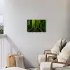 Jungle - Brug - Mos - Natuur - Tropisch Tuinposter op houten frame 2 cm dik klein -sfeer1