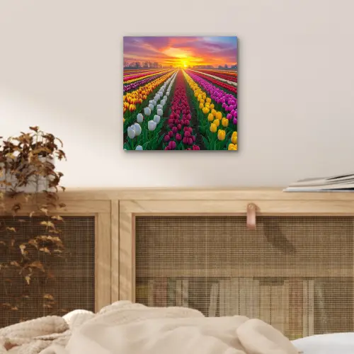 Tulpenveld - Zonsondergang - Kleurrijk aluminium wit klein -sfeer3