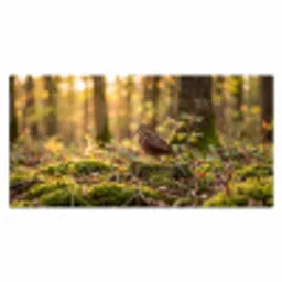 Houtsnip - Bos - Bladeren - Herfst - Gecamoufleerd Muismat XXL klein -3d_leeg