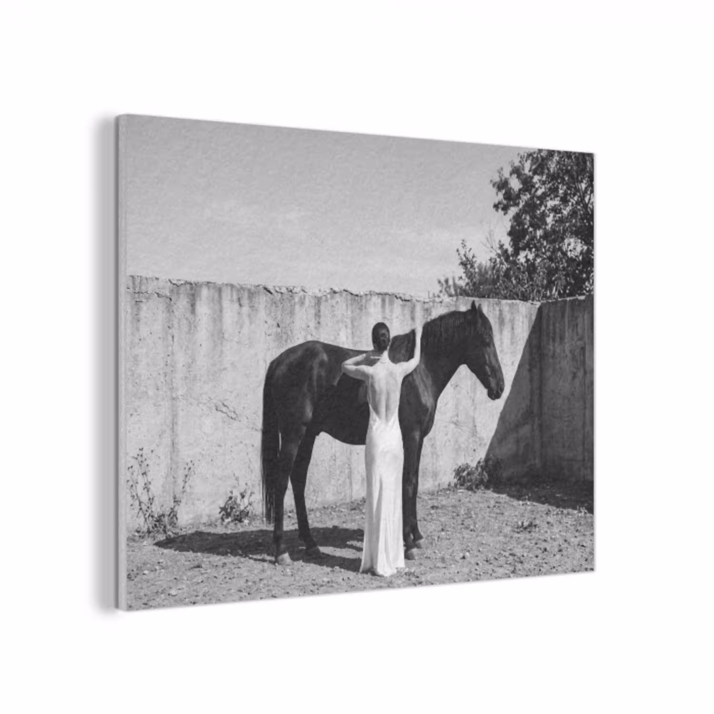 Vrouw - Paard - Artistiek PET vilt klein -3d