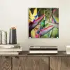 Kleurrijke vogel tussen allemaal kleurrijke platen plexiglas 5mm klein -sfeer1