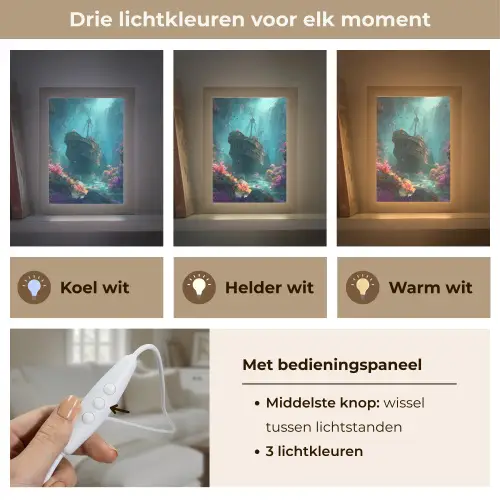 Schip - Hout - Koraalriffen - Zonlicht Light Box met kabel (Tafellamp) klein -USP_lichtkleurNL