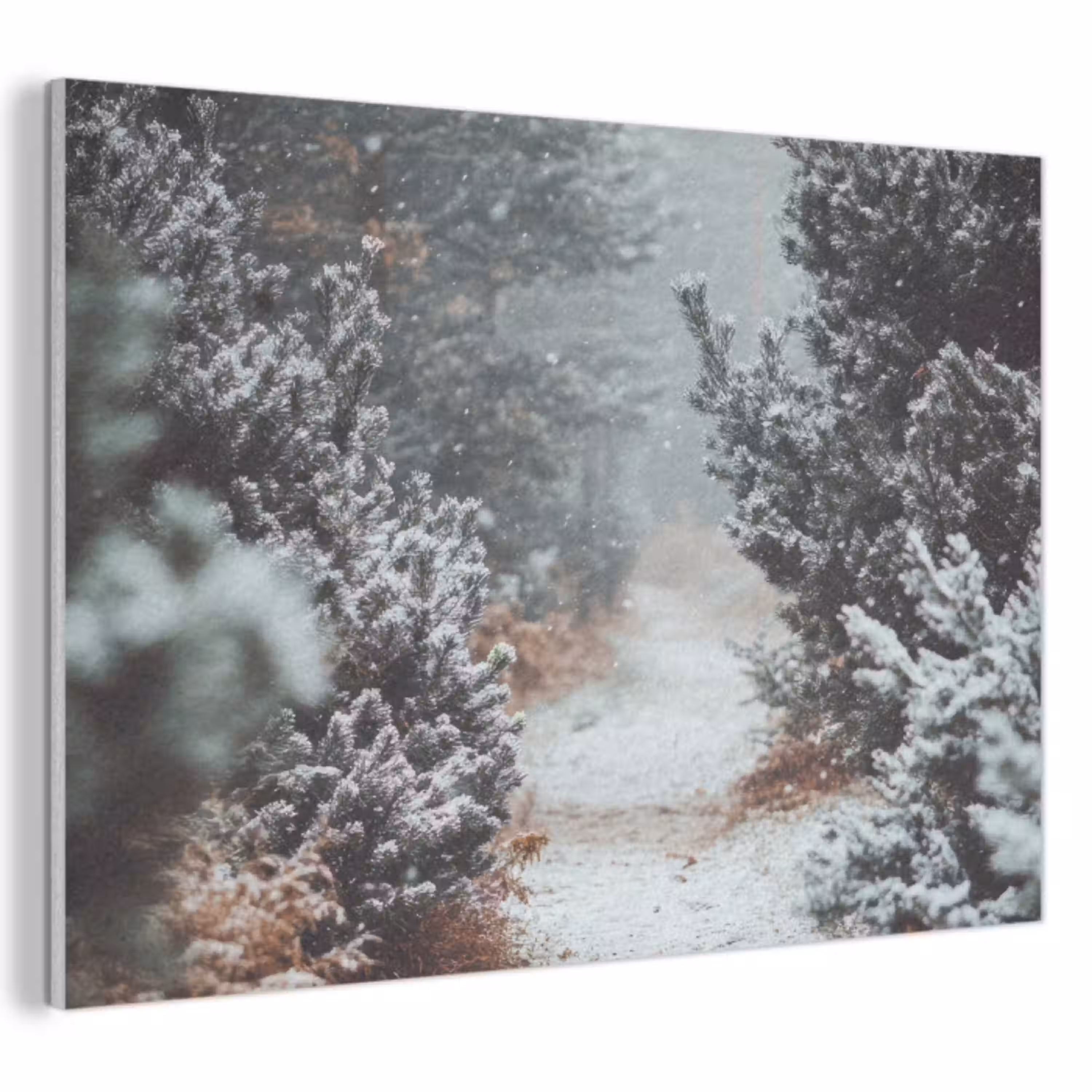 Bos - Winter - Bomen - Natuur - Pad - Sneeuw PET vilt klein -3d