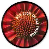 Close up - Bloem - Quote - Rood Fotolijst rond zonder passe partout klein -3d
