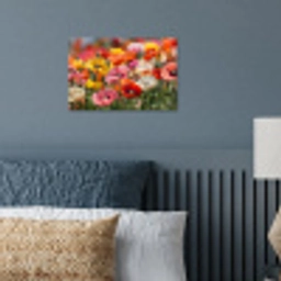 Bloemenveld - Klaprozen - Kleurrijk poster papier klein -sfeer2