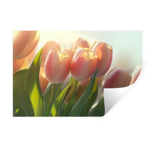 Tulpen - Roze - Zonnestralen Muursticker klein -3d