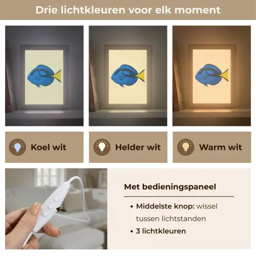 Blauw - Dory - Vis - Staartvin Light Box met kabel (Tafellamp) klein -USP_lichtkleurNL