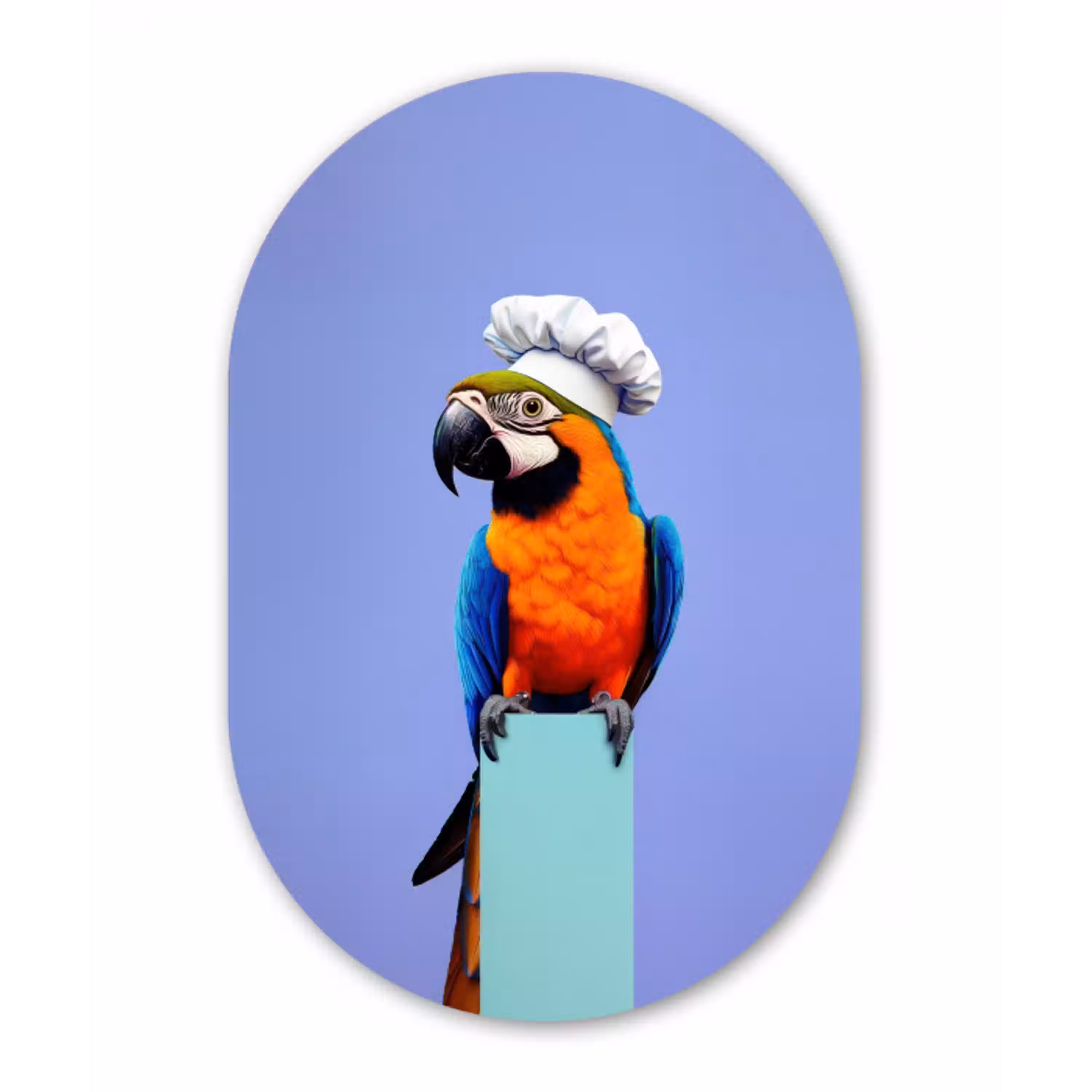 Papegaai - Koksmuts - Vogel - Leuk Wandcirkel Ovaal Glas middel -3d