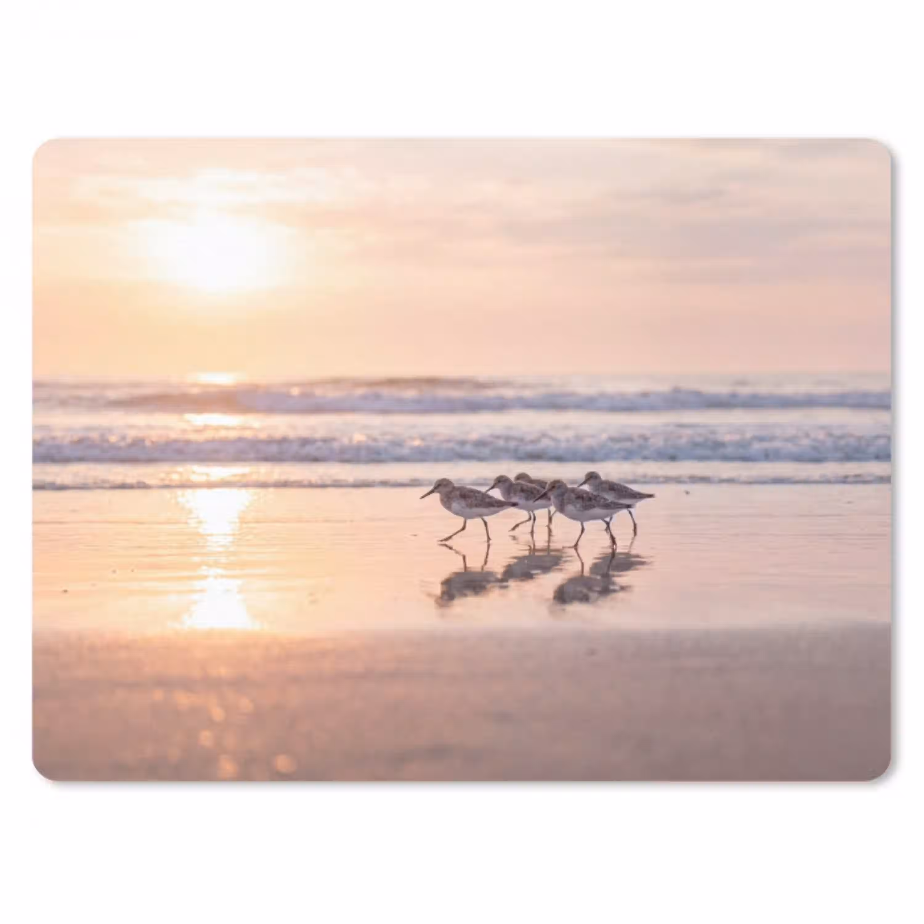 Zee - Vogels - Strand muismat rubber klein -3d