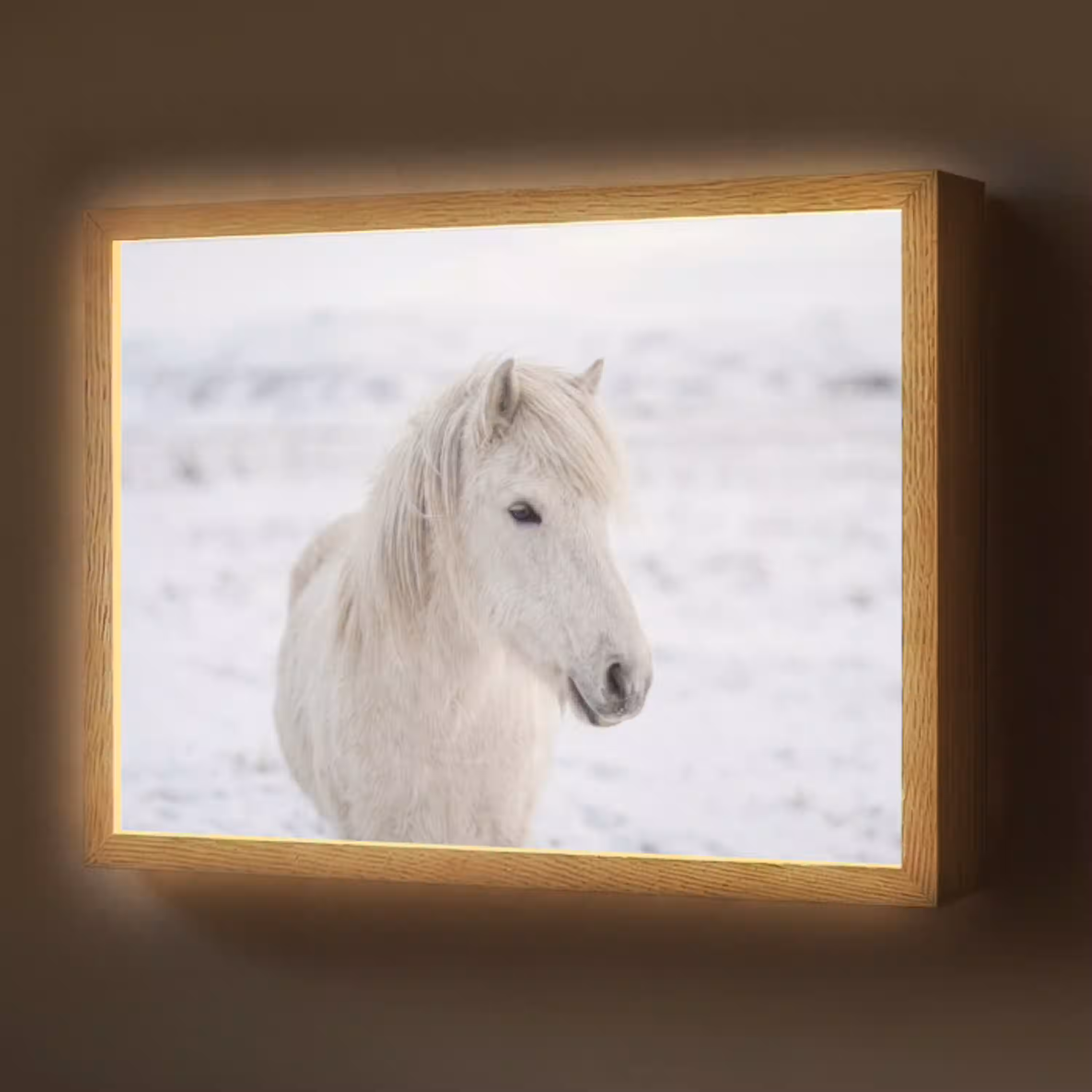 Paard - Kop - Winter - Dieren - Wit Light Box met batterij (Wandlamp) middel -z3d_website