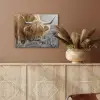 Schotse Hooglander - Dieren - Bruin - Koe - Zwart - Wit - Natuur PET vilt klein -sfeer4