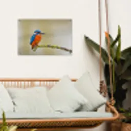 Vogel - IJsvogel - Tak tuinposter los doek klein -sfeer7