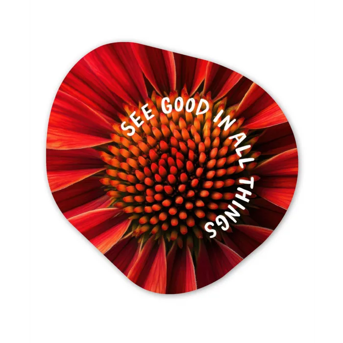 Close up - Bloem - Quote - Rood Wandcirkel Organisch Forex 3mm klein -3d