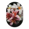 Bloemen - Roze - Zwart - Flora - Botanisch Wandcirkel Ovaal Forex klein -3d