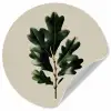 Eikenbladeren - Beige - Groen - Golvende randen Wandcirkel behangsticker klein -3d