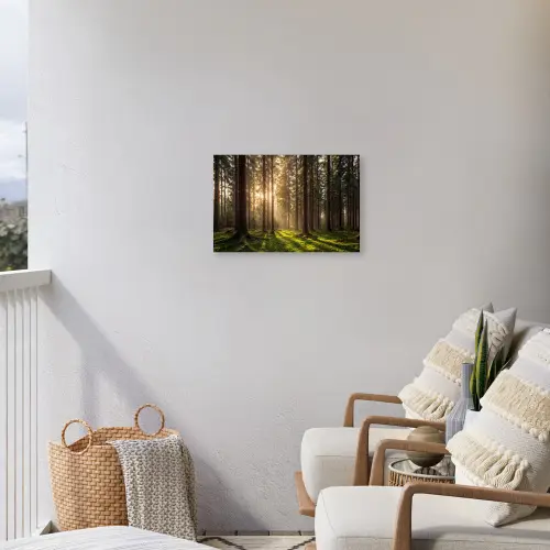 Bos - Gras - Zonlicht Tuinposter op houten frame 2 cm dik klein -sfeer1