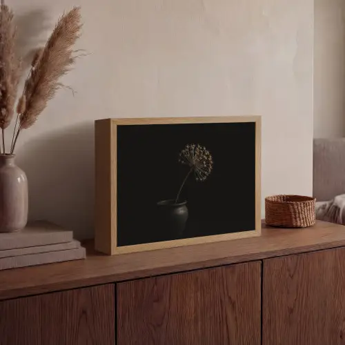 Bol - Gedroogd - Vaas - Zwart Light Box met batterij (Wandlamp) middel -sfeer2