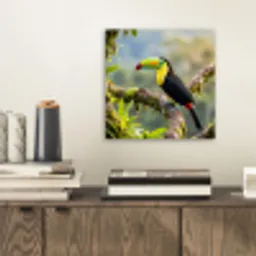 Toekan - Jungle - Natuur - Kleurrijk aluminium wit klein -sfeer1