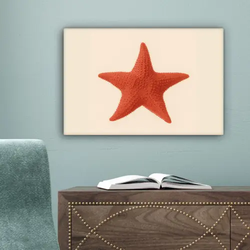 Zeester - Bobbels - Rood canvas 2cm klein -sfeer4