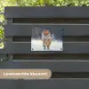 Tijger rennend door de sneeuw tuinposter los doek klein -sfeer3