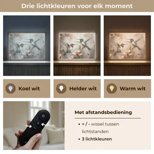 Kolibrie - Vogels - Bloemen - Planten Light Box met batterij (Wandlamp) middel -USP_lichtkleurNL