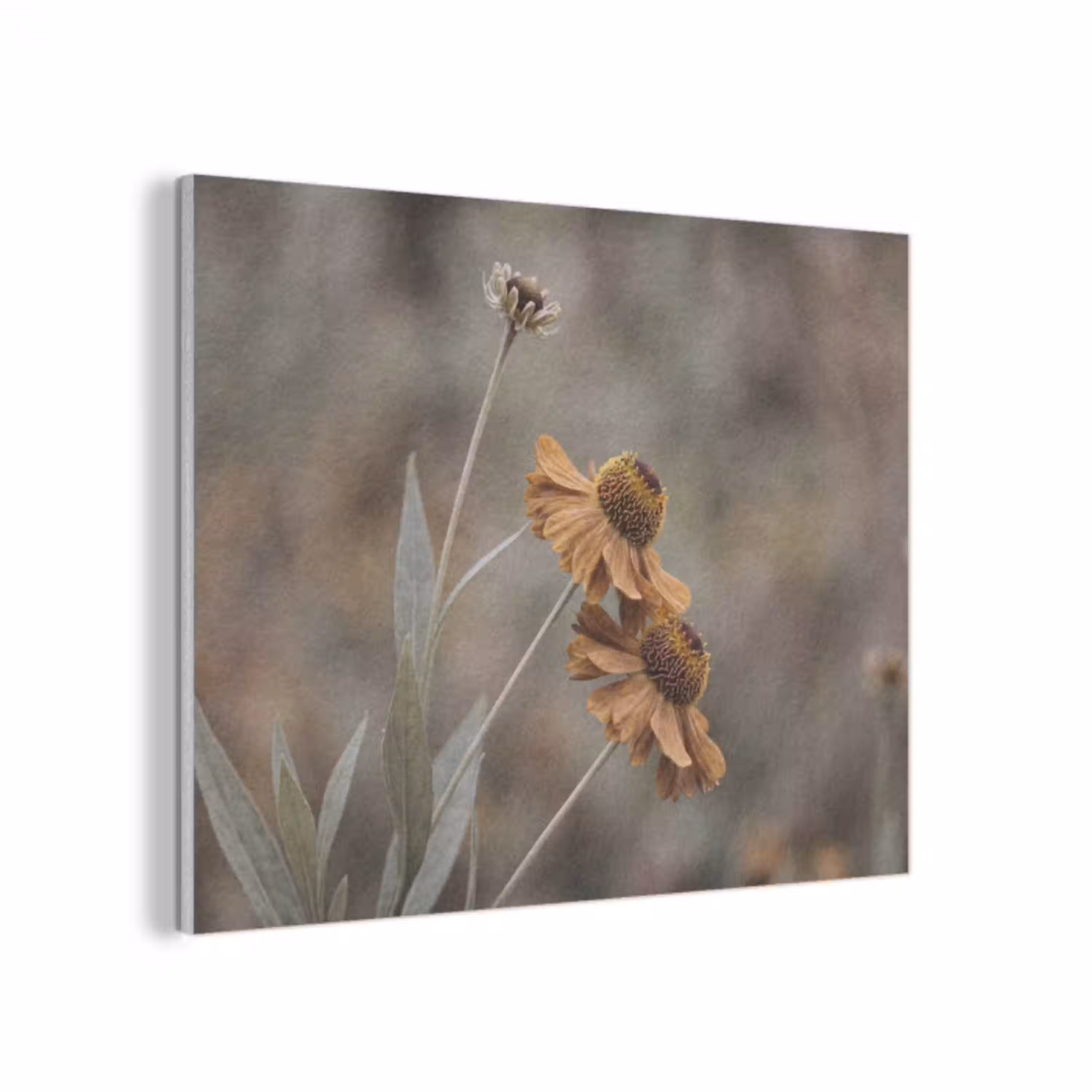 Zonnehoed - Droogbloemen - Geel - Warm PET vilt klein -3d