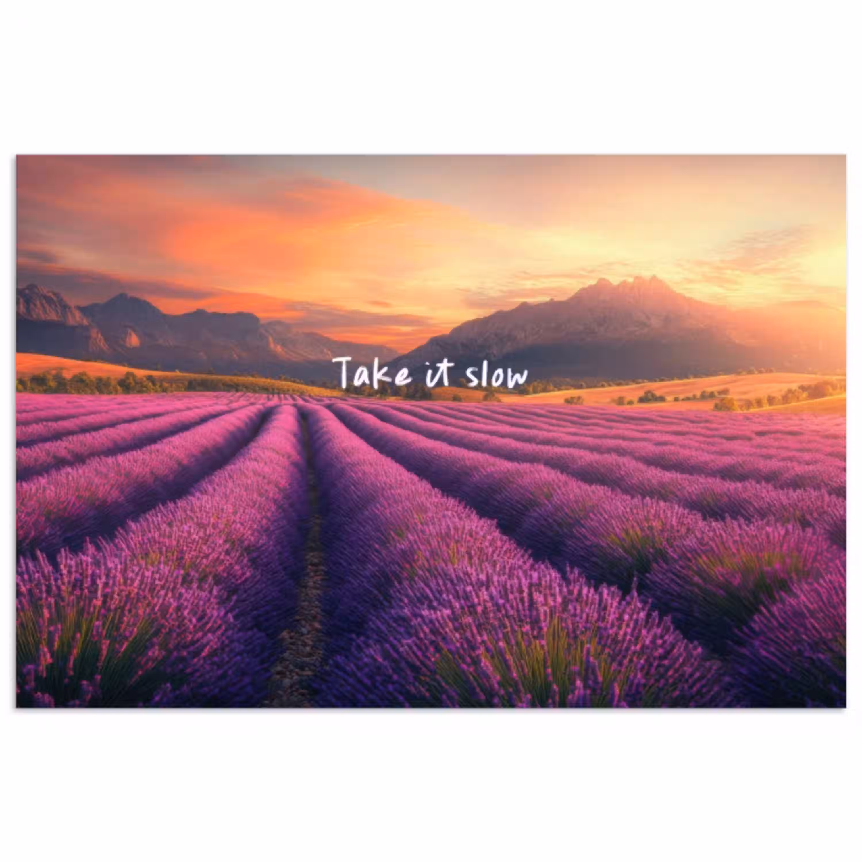 Lavendelveld - Quote - Zonsondergang poster papier klein -3d