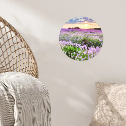 Lavendel - Bloemen - Zonsondergang - Paars - Weide Wandcirkel behangsticker klein -sfeer4