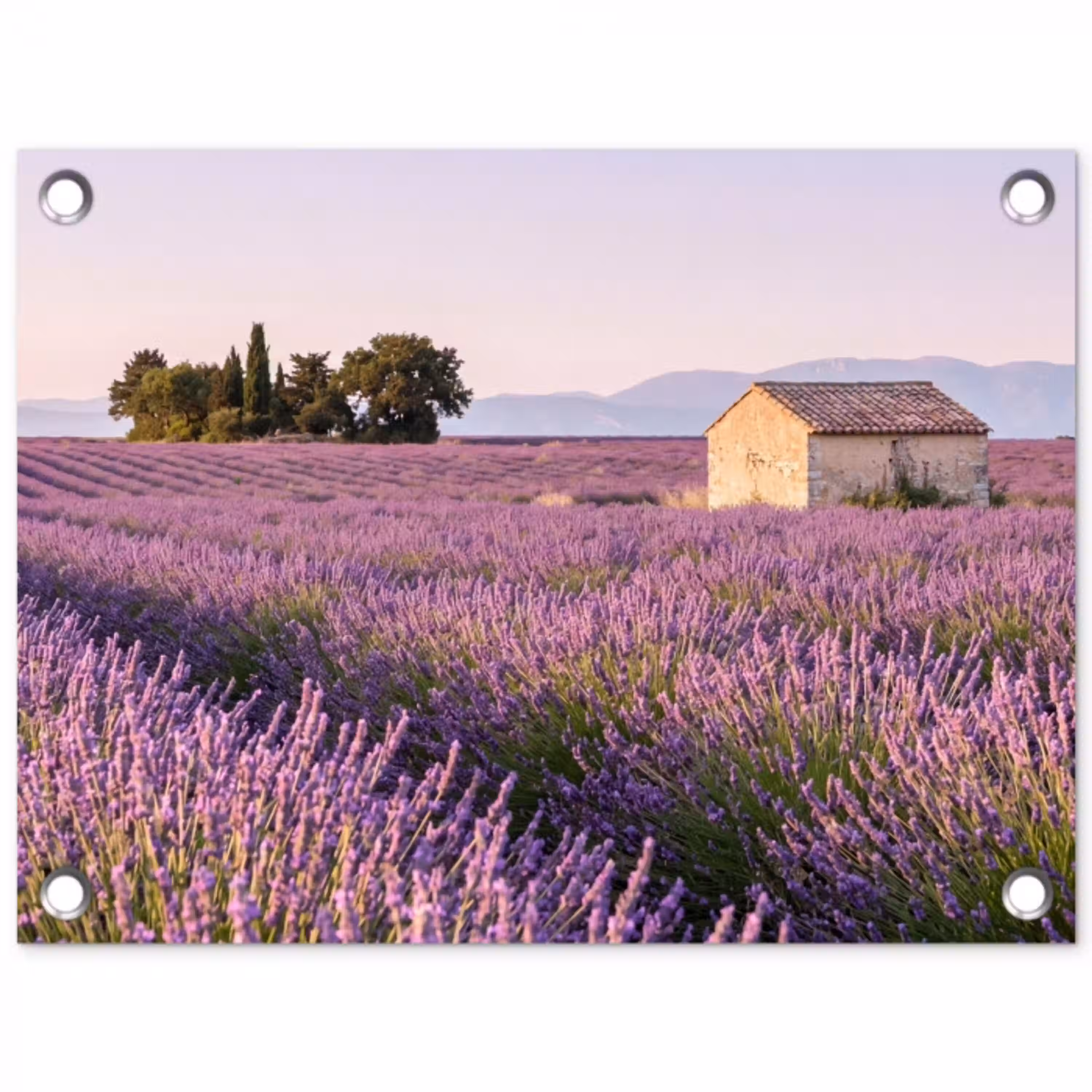 Lavendel - Landschap - Sereen - Paars tuinposter los doek klein -3d