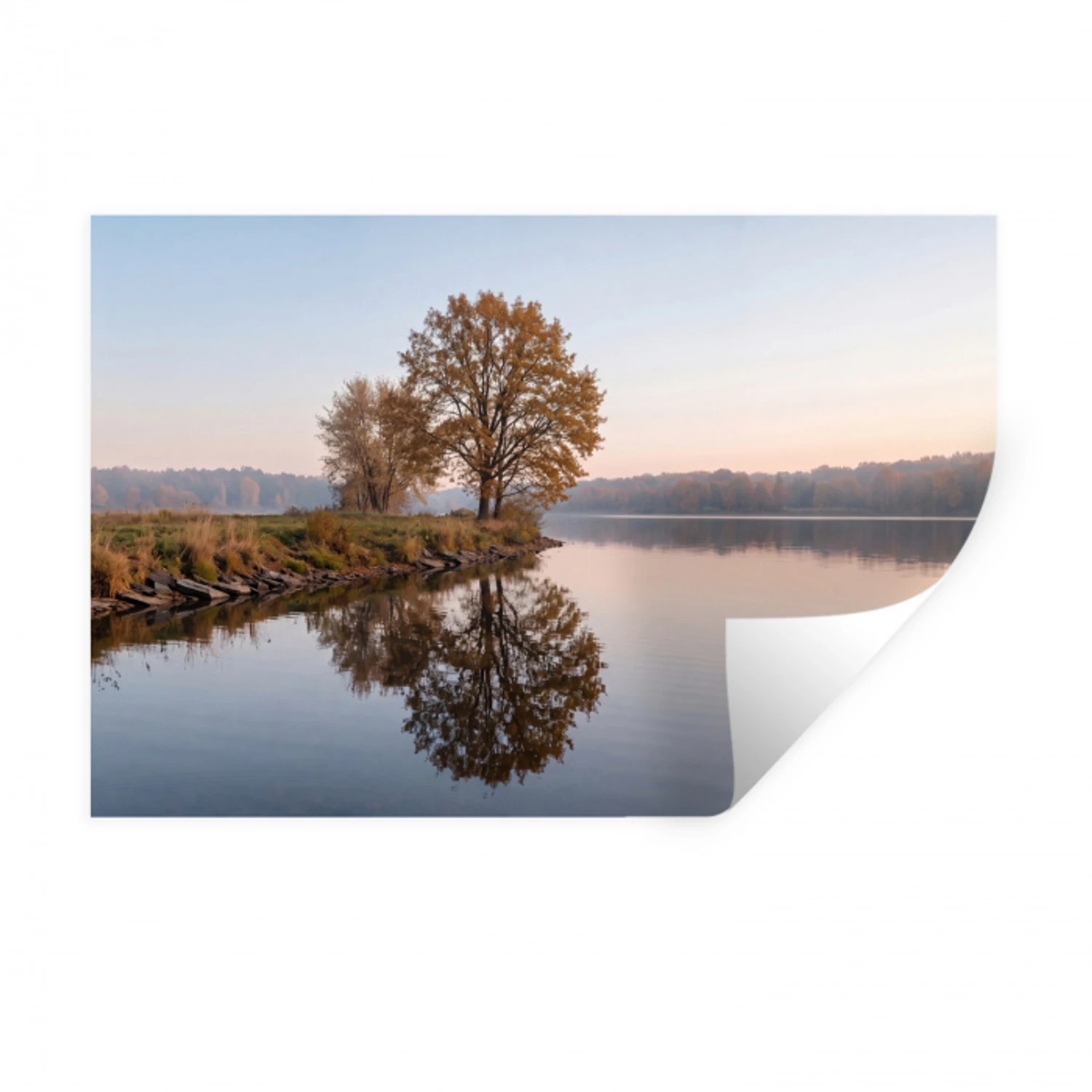 Bomen - Reflectie - Water - Zonsopgang - Serene Muursticker klein -3d
