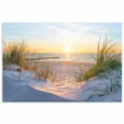 Strand - Zon - Duin - Gras - Zand - Horizon poster papier klein -3d