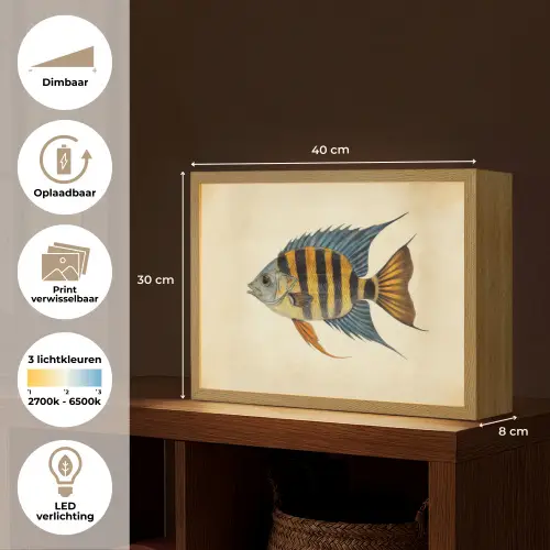 Vis - Tropisch - Strepen - Vinnen Light Box met batterij (Wandlamp) middel -USP_websiteoverzichtNL