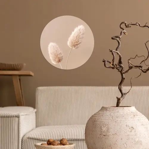 Pampas pluimen - Beige - Planten Wandcirkel behangsticker klein -sfeer1