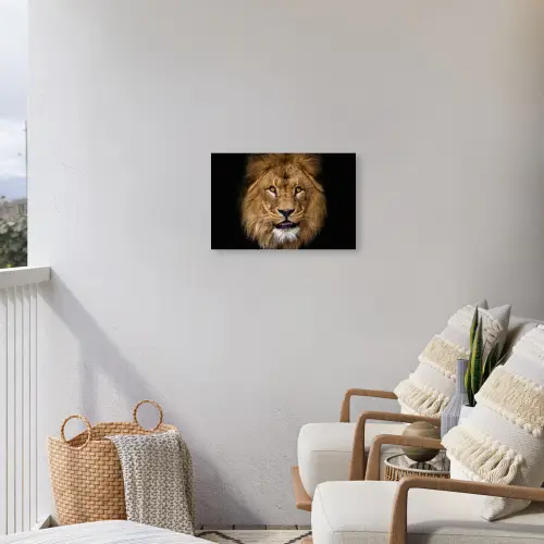 Leeuw - Portret - Zwart - Dieren Tuinposter op houten frame 2 cm dik klein -sfeer1
