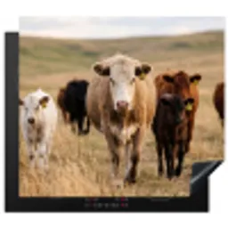 Runderen - Kudde - Landschap - Weide - Rustig Inductie beschermer vinyl 3mm middel -3d