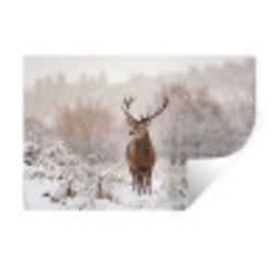 Edelhert - Bos - Sneeuw - Winter - Majestueus Muursticker klein -3d